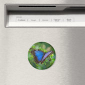 Magnet papillon bleu Morpho (In Situ (Lave-vaisselle))