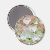Magnet - Peach Hydrangea Magneet (Voorkant / Achterkant)
