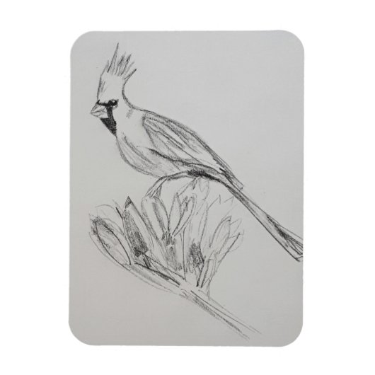 Magnet photo cardinal flexible (Vertical)