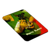 Magnet photo Chihuahua (Côté Droit)