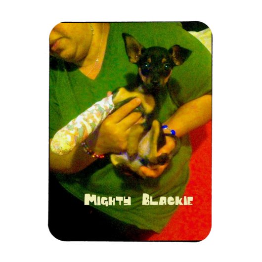 Magnet photo Chihuahua (Vertical)