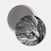 Magnet photo de chat (Recto/Verso)