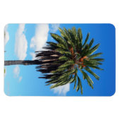 Magnet photo de l'arbre à coco (Horizontal)