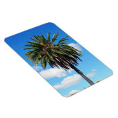 Magnet photo de l'arbre à coco (Côté Droit)