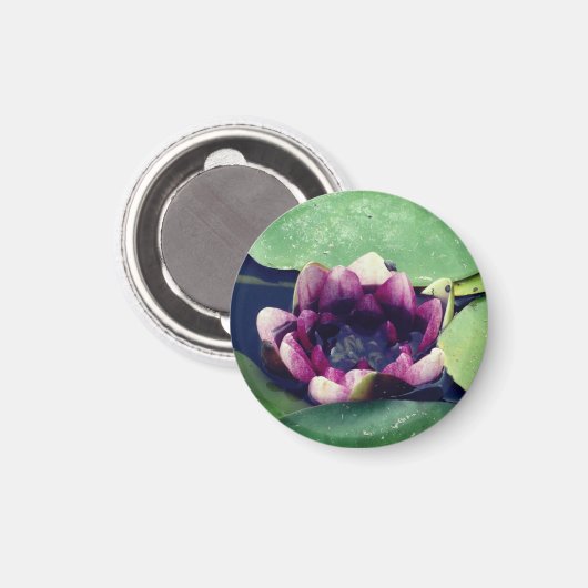 Magnet photo de lotus violetLotus violet (Recto/Verso)