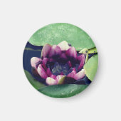 Magnet photo de lotus violetLotus violet (Devant)