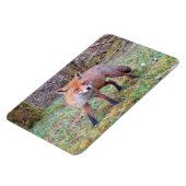 Magnet photo Flexi horizontal Fox rouge mignon (Côté Gauche)
