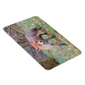 Magnet photo Flexi horizontal Fox rouge mignon (Côté Droit)