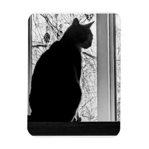 Magnet photo flexible