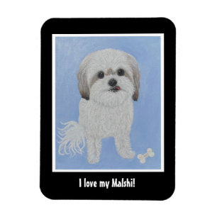 Magnet photo flexible de Chien Malshi