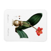 MAGNET PHOTO FLEXIBLE D'IMPRESSION vintage DE SANG (Horizontal)