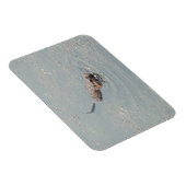 Magnet photo flexible pour bébé muskrat (Côté Droit)