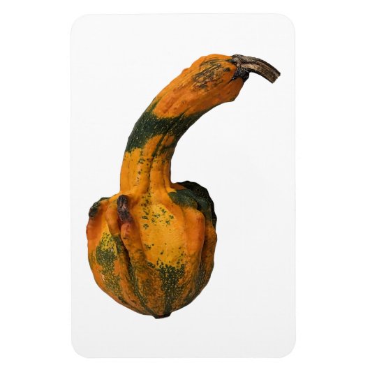 Magnet photo gourd (Vertical)