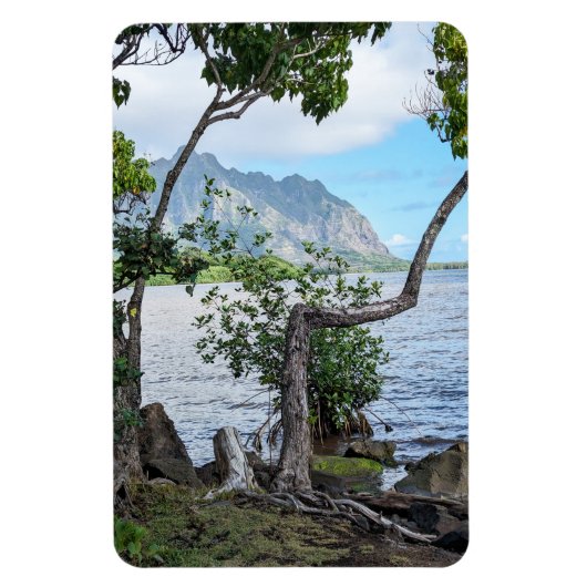 Magnet photo Hawaiian Coastal View (Vertical)