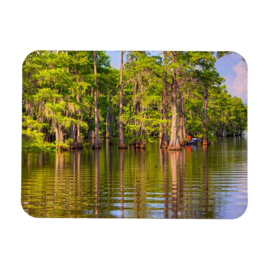 Magnet photo Louisiana Bayou (Horizontal)