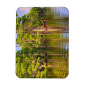Magnet photo Louisiana Bayou (Vertical)