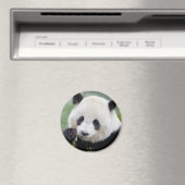 Magnet Photo panda géant, animaux 0241. (In Situ (Lave-vaisselle))