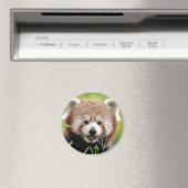 Magnet Photo panda rouge, animaux 0362. (In Situ (Lave-vaisselle))