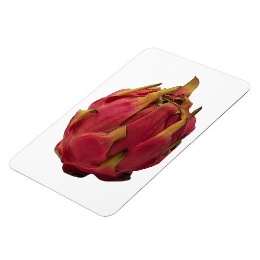 Magnet photo Pitaya (Côté Gauche)