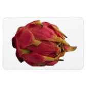 Magnet photo Pitaya (Horizontal)