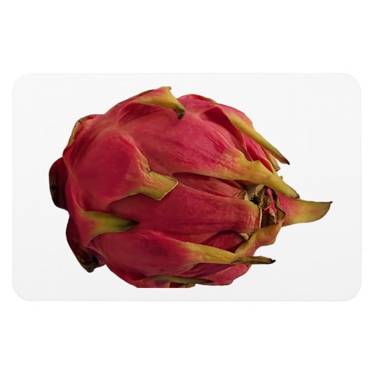 Magnet photo Pitaya (Horizontal)