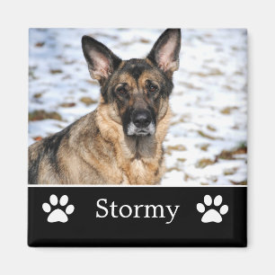 Magnet photo pour animal de compagnie noir personn