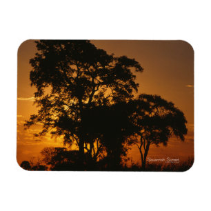 Magnet photo Savannah Sunset