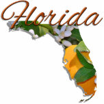 Magnet Photo Sculpture Aimant - Sculptural - FLORIDE<br><div class="desc">Bien qu'on l'appelle parfois "L'Etat de la Péninsule", le surnom officiel de la Floride est "L'Etat de Sunshine". Il a été adopté officiellement par la législature de Floride en 1970. Il n'est probablement pas surprenant que la fleur d'état de Floride soit la fleur d'Orange. La Floride et les oranges sont...</div>