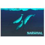 Magnet Photo Sculpture Narwhal Sous La Glace<br><div class="desc">Trois narvals, Monodon monoceros, nagent sous la glace arctique. Ajoutez votre propre texte. Le narval est apparenté à la baleine béluga et vit dans l'Arctique toute l'année. Ils se trouvent principalement dans les eaux du Groenland et du Canada, rarement au sud du 65e parallèle de latitude nord. Les mâles pèsent...</div>