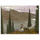 Magnet Photo Sculpture Selkirk Caribou<br><div class="desc">Un jour de printemps nuageux trouve un caribou des bois (Rangifer tarandus) dans le terrain montagneux et conifère typique de celui que l'on trouve dans les montagnes du sud de la Colombie-Britannique, du nord de l'Idaho et du nord-est de l'État de Washington où survit une petite population de ces animaux....</div>