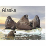 Magnet Photo Sculpture Walrus - Quatre frères<br><div class="desc">Trois morses de frère, Wilson, Winston, Winthrop, reposent sur une banquise, avec le quatrième frère, Wilbur, dans l'eau. Le texte "Alaska" apparaît également. Le morse (Odobenus rosmarus) est circumpolaire dans son aire de répartition, mais il se trouve dans des zones géographiquement distinctes. Seule espèce vivante de la famille Odobenidae et...</div>