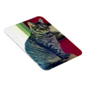 Magnet photo Tabby Cat 3"x4" (Côté Droit)