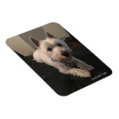 Magnet photo Westie 3"x4" (Côté Droit)