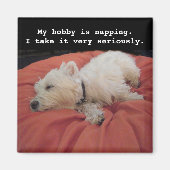 Magnet photo Westie Napping (Devant)