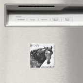 Magnet photo Wild Horse Southwest (In Situ (Lave-vaisselle))