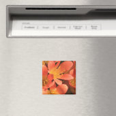 Magnet Plante Clivias (In Situ (Lave-vaisselle))