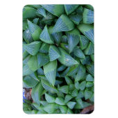 Magnet Plante de Green Haworth (Vertical)