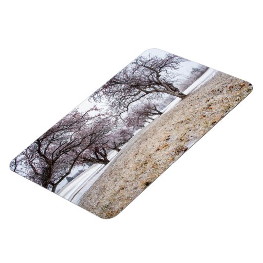 Magnet plat 4x6 (Côté Gauche)