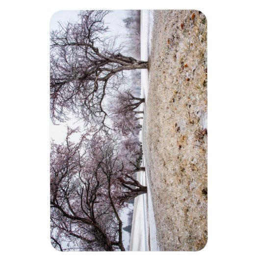 Magnet plat 4x6 (Vertical)