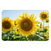 Magnet plat 4x6 (Horizontal)