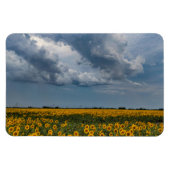 Magnet plat 4x6 (Horizontal)