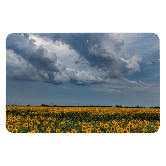 Magnet plat 4x6 (Horizontal)