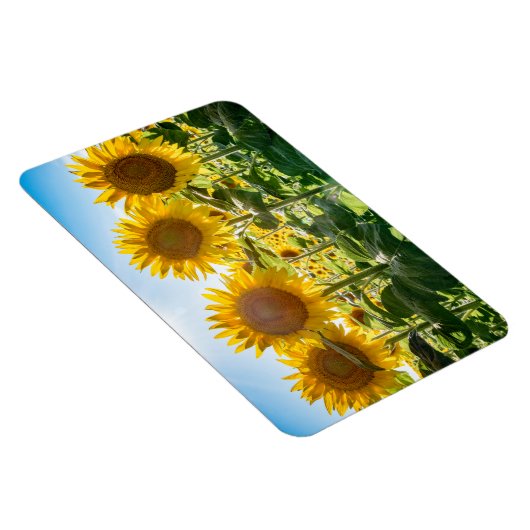 Magnet plat 4x6 (Côté Droit)