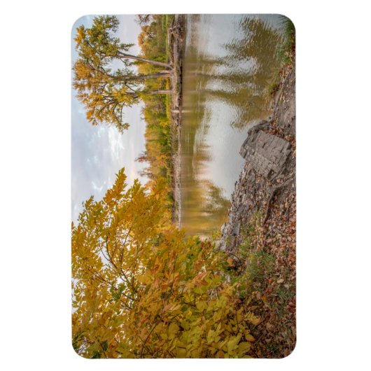 Magnet plat 4x6 (Vertical)