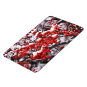 Magnet plat 4x6 (Côté Gauche)