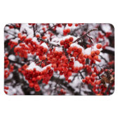 Magnet plat 4x6 (Horizontal)