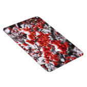 Magnet plat 4x6 (Côté Droit)