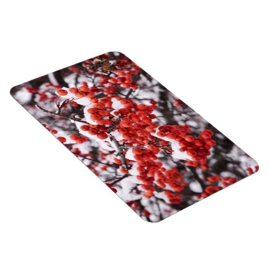 Magnet plat 4x6 (Côté Droit)