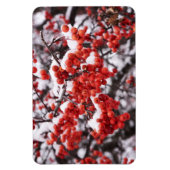 Magnet plat 4x6 (Vertical)