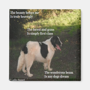 Magnet Poem Any Dogs Dream Ladee Basset Magneet